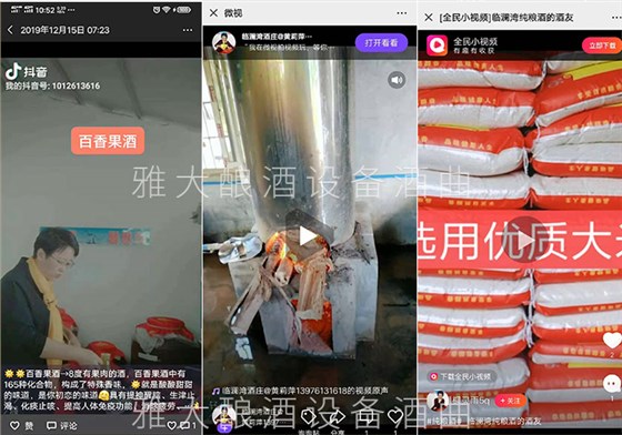 雅大釀酒設備廠家釀酒國匠親自指導的黃莉萍,如今做得怎么樣了4