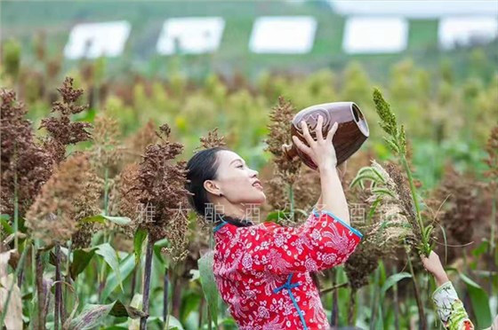 從廚師到釀酒師,用全自動釀酒設備釀出美酒,釀出紅火日子 從廚師到釀酒師,用全自動釀酒設備釀出美酒,釀出紅火日子