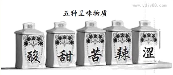 五種呈味物質