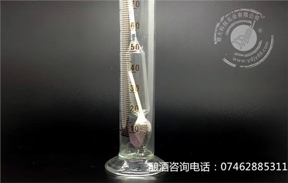 【釀酒技術】蒸餾測量酒度