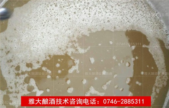 【釀酒技術】米酒酒醅酸了怎么解決