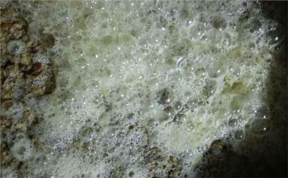 釀酒為什么要嚴格控制發酵溫度