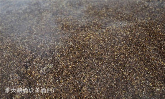 酒糟喂羊固態(tài)酒糟好還是液態(tài)酒糟好？