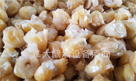 用雅大燒酒設備蒸糧，加燜水應該從甑底加還是上面加？