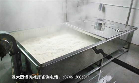 「蒸酒設備」大米熟料發酵—用雅大蒸飯攤涼一體鍋蒸飯