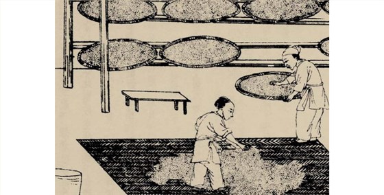 燒酒和白酒都是什么酒，所用蒸酒設備有何區(qū)別？