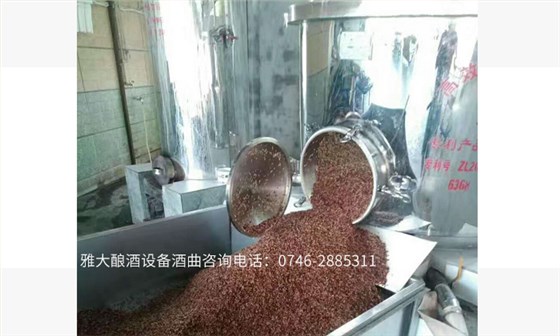 雅大側開口不銹鋼熟料專業釀酒設備