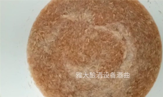 福建吳老板寄來雅大蒸酒設備的100斤柚子發酵中-邀君品嘗4