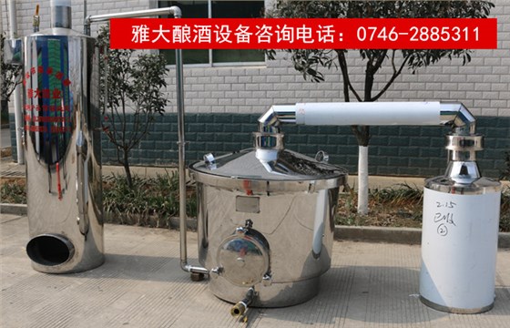 是什么讓雅大白酒生產設備學員小王走上桑果酒的釀造之路？