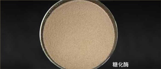 免糖化固態(tài)釀酒用的到底是什么酒曲？