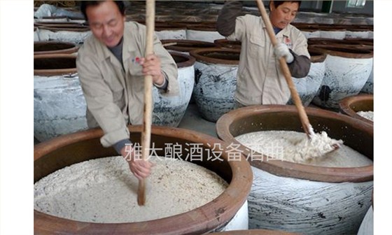 蒸汽釀酒設備|大米半固態發酵釀酒技術
