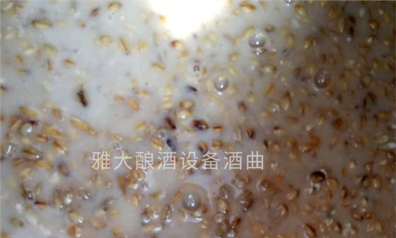 「釀酒設備廠家」青稞發酵酒的工藝流程——青稞發酵