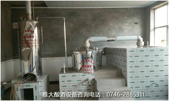 初生牛犢不怕虎，女神用酒廠釀酒設(shè)備做葡萄酒帶領(lǐng)村民致富3