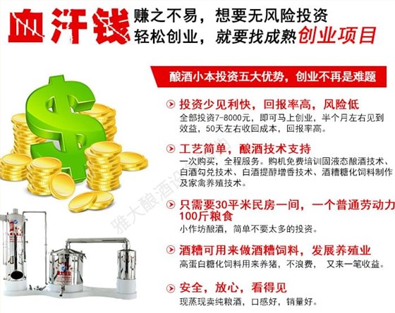 用酒廠釀酒設備做酒魅力何在能幫那么多人實現創業夢4