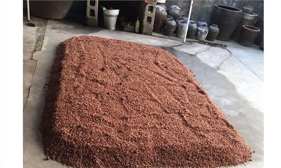 夏季釀酒是什么導致酒廠釀酒設備的酒減少？10分鐘解決5
