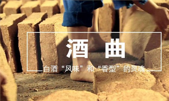 酒曲到底是什么“東東” 可將糧食轉化成酒而不是其他物質？1