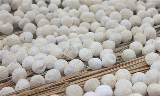 酒曲到底是什么“東東” 可將糧食轉化成酒而不是其他物質？4