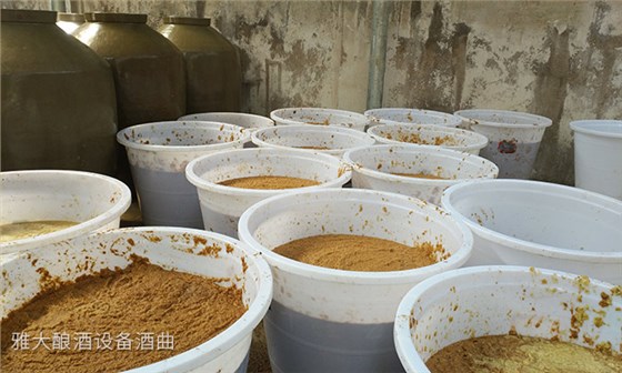 發酵桶的蘋果