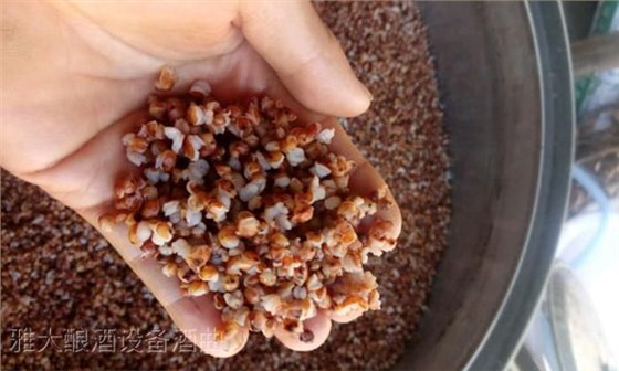 9.8用釀白酒設備制作無糠殼高粱釀酒技術-蒸紅高粱