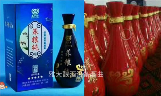 40年酒廠釀酒設備做白酒經驗，轉戰果酒市場年銷量突破220萬04