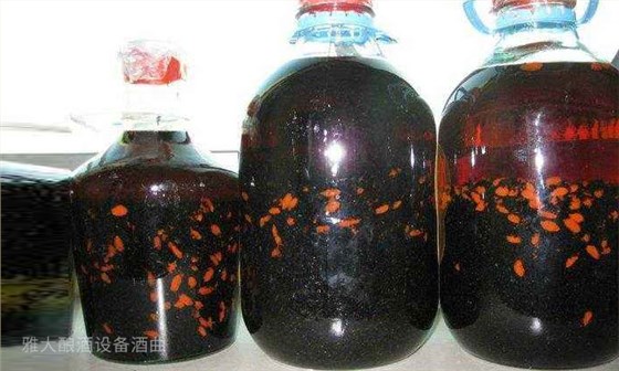 9.15「大型釀酒設備」驚！用黑螞蟻泡酒功效竟然這么大！02