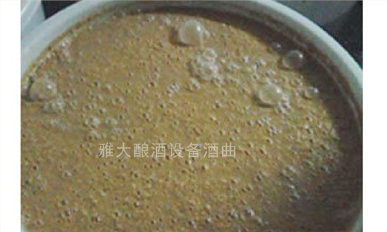 電加熱釀酒設備做生料酒3大要素之糧食選擇篇-05