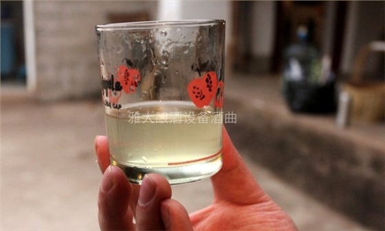 電加熱釀酒設備做生料酒3大要素之酒曲選擇篇-04