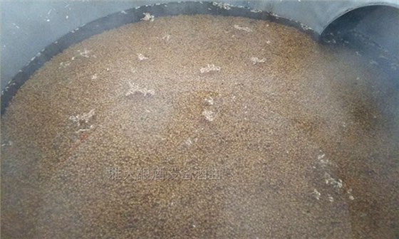 雅大邀您到酒廠用白酒蒸酒設(shè)備實(shí)操釀青稞酒，青稞酒實(shí)操教學(xué)！-02--泡糧