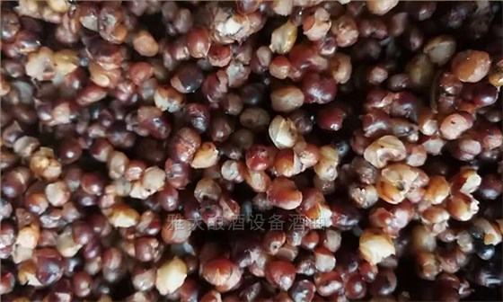 饒總用專業釀酒設備做洞藏酒,半年后洞天醇成為當地招牌旅游景點-09 饒總用專業釀酒設備做洞藏酒,半年后洞天醇成為當地招牌旅游景點-09