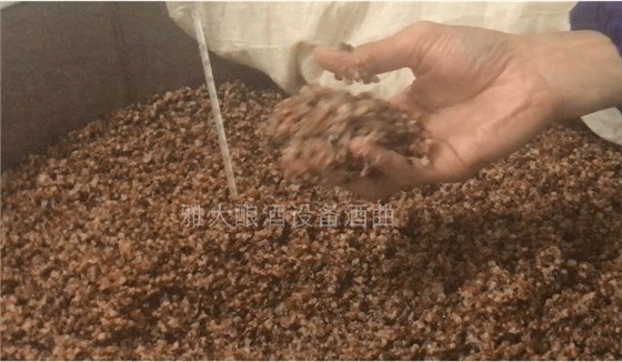 警惕！不銹鋼釀酒設備操作不當給玉米酒帶來邪雜味！-04-發酵溫度