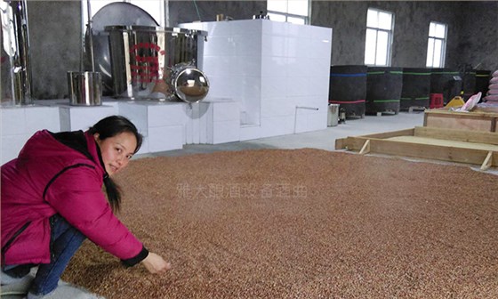 用白酒蒸酒設備釀酒的女人,一定具備這7大技能!-05 用白酒蒸酒設備釀酒的女人,一定具備這7大技能!-05