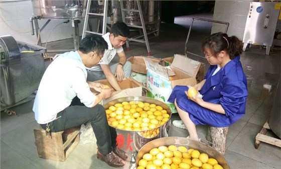 看過來，大型釀酒設(shè)備廠家制作檸檬酒的標(biāo)準(zhǔn)教程在這里！-01