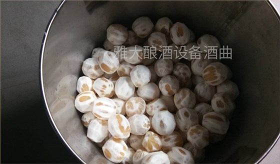 看過來，大型釀酒設(shè)備廠家制作檸檬酒的標(biāo)準(zhǔn)教程在這里！-02