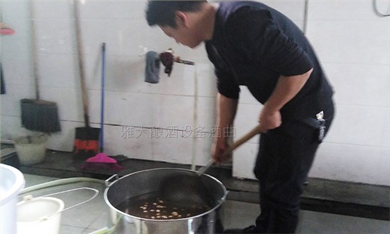 銀杏果酒怎么做?20年釀酒經驗的新工藝釀酒設備廠手把手教您做!-02 銀杏果酒怎么做?20年釀酒經驗的新工藝釀酒設備廠手把手教您做!-02