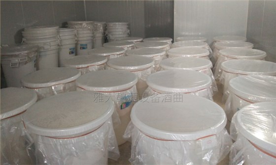 為什么酒醅寶寶怕冷 而經不銹鋼釀酒設備蒸餾后在低溫下不結冰-03-發酵室 為什么酒醅寶寶怕冷 而經不銹鋼釀酒設備蒸餾后在低溫下不結冰-03-發酵室