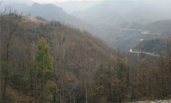 40噸拐棗急需發(fā)酵怎么辦?雅大電加熱釀酒設備蔣老師上門指導!-02 40噸拐棗急需發(fā)酵怎么辦?雅大電加熱釀酒設備蔣老師上門指導!-02