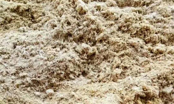 做甘蔗酒需要哪些配套釀酒設備，釀酒設備價格貴不貴？ (5)