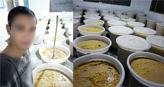 玉米釀酒設(shè)備做的生料玉米酒口感真的有那么差么?-05-玉米生料釀酒 玉米釀酒設(shè)備做的生料玉米酒口感真的有那么差么?-05-玉米生料釀酒