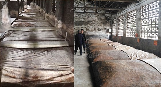 用雅大釀酒蒸餾設備做老窖川酒 用雅大釀酒蒸餾設備做老窖川酒