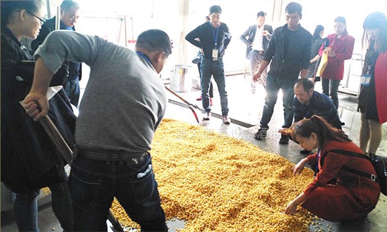 學(xué)員實操玉米釀酒 學(xué)員實操玉米釀酒