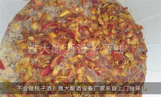 桃子酒發酵期間 桃子酒發酵期間