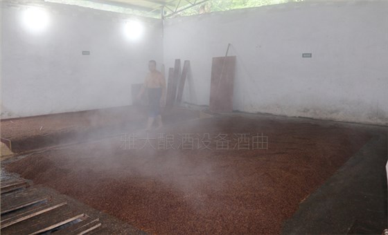 糯高粱釀酒技術交流 糯高粱釀酒技術交流
