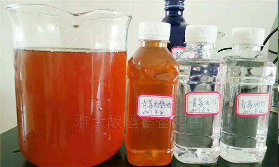 11-青梅泡酒發酵酒