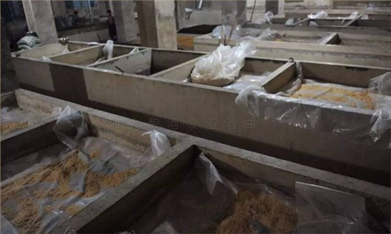 26-傳統釀酒玉米窖池4