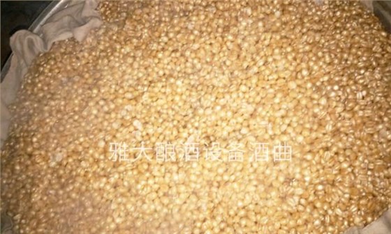 加水燜30分鐘瀝干后復蒸 加水燜30分鐘瀝干后復蒸