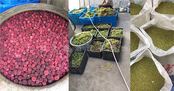 7.19-5套制酒設(shè)備，自己釀酒+上門加工相結(jié)合，生意火爆整個(gè)余姚-