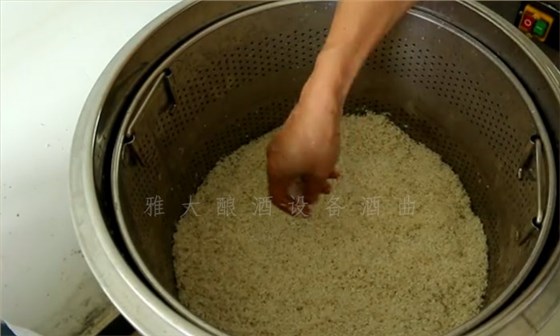 8.10-8步教您用小型酒廠釀酒設備釀造紅薯酒，純實操！3