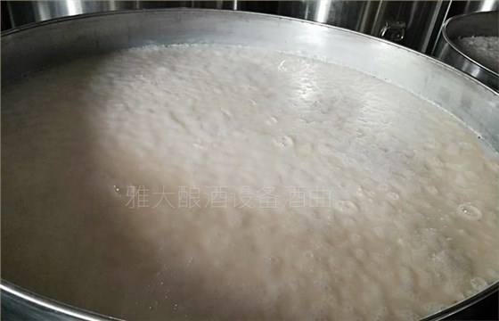 16-大米酒發酵中 16-大米酒發酵中