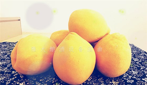 8.24-印江縣黃桃滯銷,冉總引進雅大電加熱釀酒設備靠“釀”帶動銷量-9 8.24-印江縣黃桃滯銷,冉總引進雅大電加熱釀酒設備靠“釀”帶動銷量-9