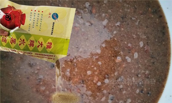 13-金櫻子5 13-金櫻子5